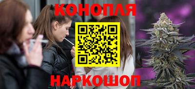 бошки Сланцы